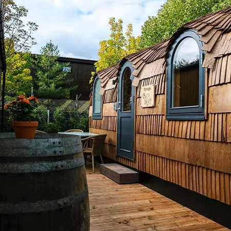 Tatil Evi Tortuga - Einfach Anders! Landau in der Pfalz