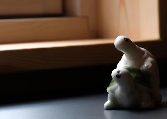 Tortuga - Einfach Anders! * Landau in der Pfalz